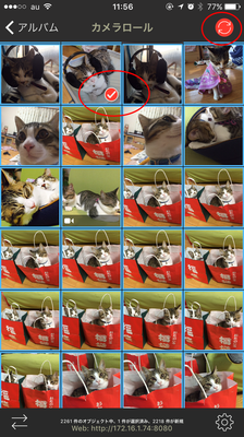 photosync-007.png